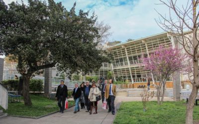 Pares Evaluadores Externos visitaron carrera de Pedagogía en Biología y Ciencias