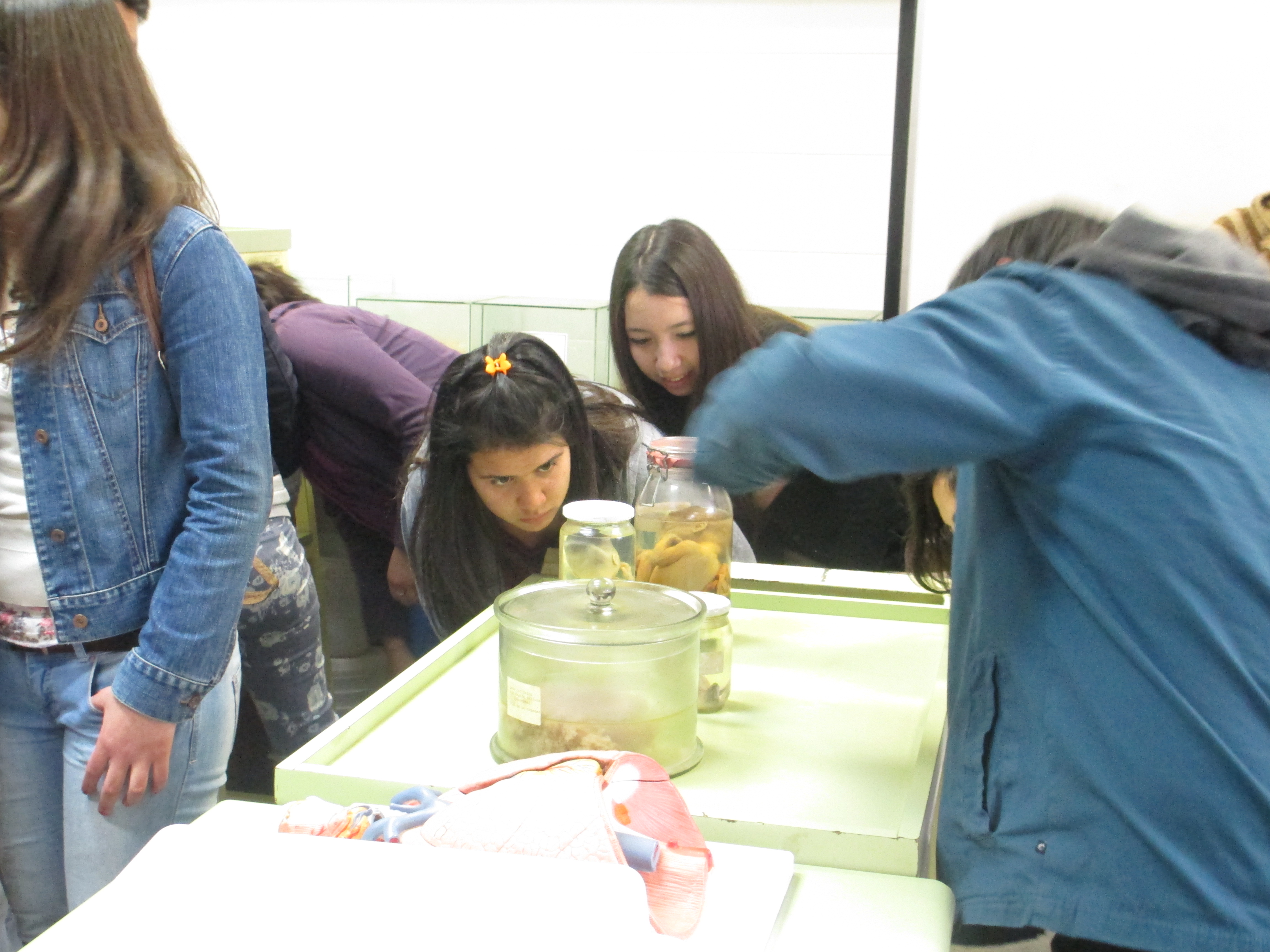 Recepción de alumnos del instituto San Lorenzo de Rancagua