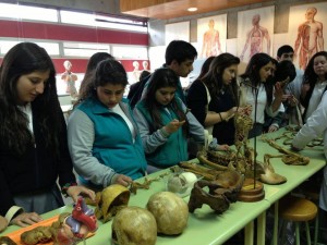 ColegioDonbosco_rancagua_171013