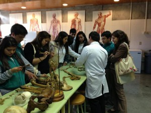 ColegioDonbosco_rancagua_171013.14