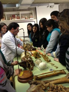 ColegioDonbosco_rancagua_171013_11