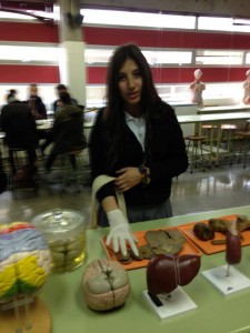 ColegioDonbosco_rancagua_171013_8