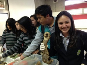 ColegioDonbosco_rancagua_171013_9