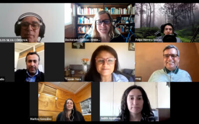 Doctorado Interdisciplinario de Ciencias Ambientales oficializa de forma telemática el inicio de su segundo proceso de Autoevaluación con la DIRGECAL