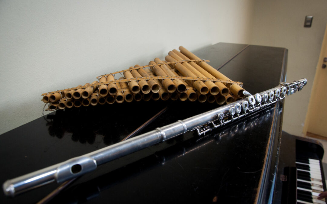 Pedagogía en Educación Musical recibe visita remota de Pares Evaluadores Externos en el marco de su quinto proceso de acreditación