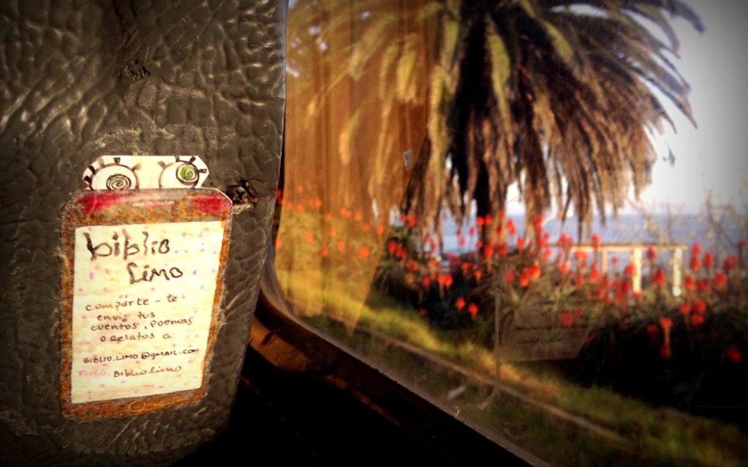 Estudiantes UPLA crearon Biblioteca Popular Gráfica a través de proyecto FDI Mineduc