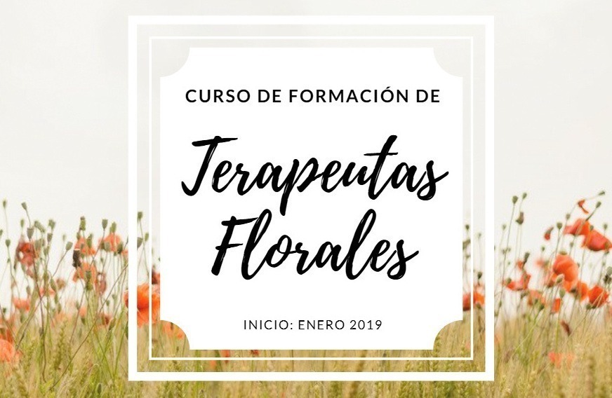 Se abrió inscripción para Curso de Formación de Terapeutas Florales