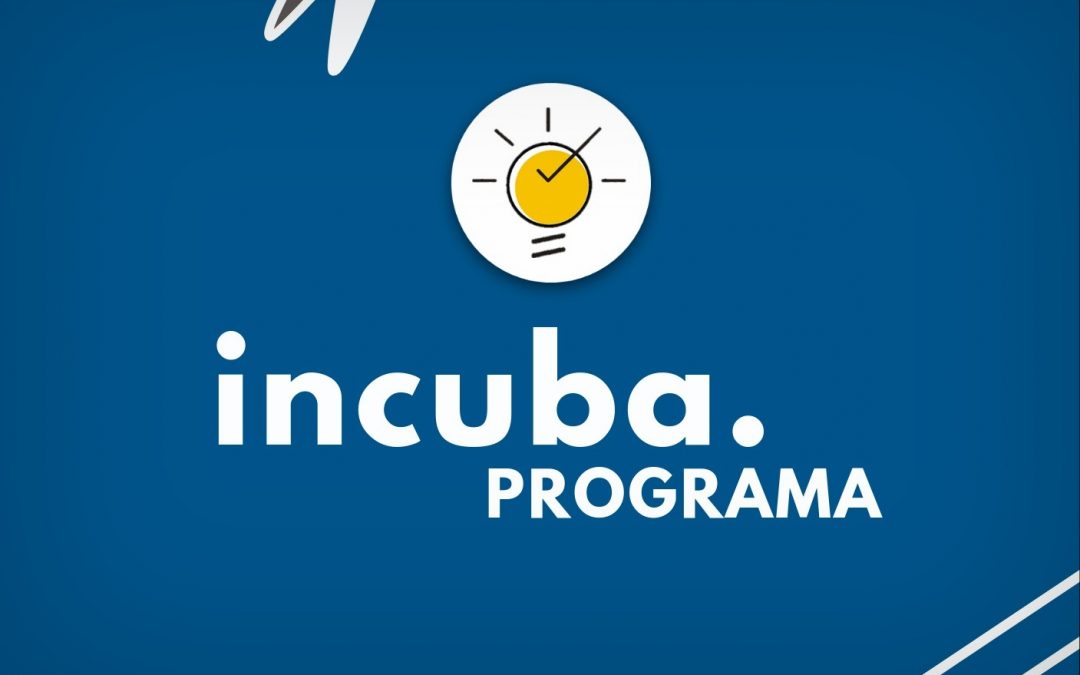 Programa Incuba realiza nuevo llamado a presentar propuestas de innovación pedagógica