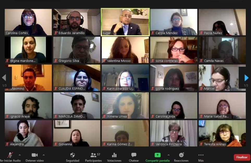 Doctor Sebastián Ugarte se reunió con Red DAEs del CRUCH