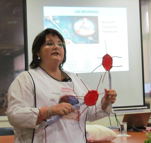 Neuroeducación: Conocer el cerebro para mejorar aprendizajes en los estudiantes