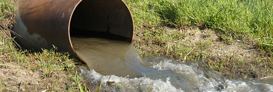 Investigadores preparan venida de especialista en biotecnología española