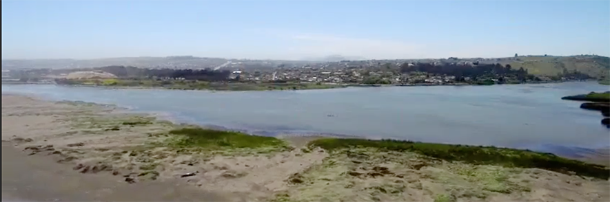 Académico UPLA participó en primer capítulo de Proyecto Arca de Canal 13