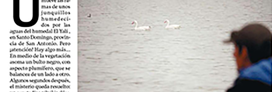 Reserva Nacional El Yali: El Edén de las aves en la zona central