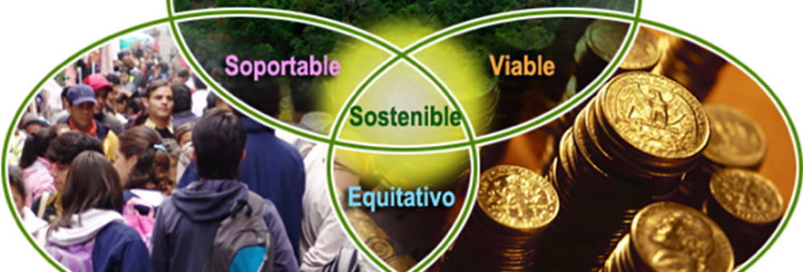 Rol e importancia de las empresas de asesoría en gestión ambiental