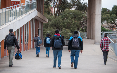 Académicas UPLA difunden investigación sobre estudiantes en situación de discapacidad