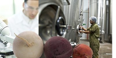 10 de abril de 2017: Último plazo para solicitar patrocinio/compromiso para establecer Polos Territoriales de Desarrollo Estratégico