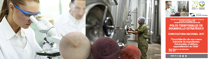 10 de abril de 2017: Último plazo para solicitar patrocinio/compromiso para establecer Polos Territoriales de Desarrollo Estratégico