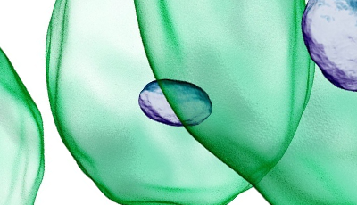 Invitan a participar en Encuentro Latinoamericano de eCiencia