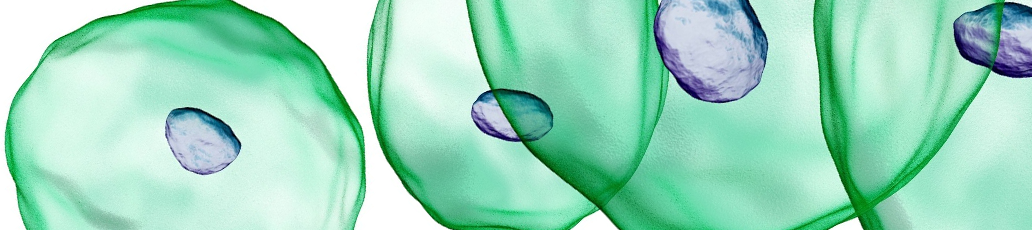 Invitan a participar en Encuentro Latinoamericano de eCiencia