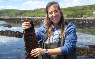 Innovación, economía azul y economía circular: el rol de los productores primarios en nuevas propuestas investigativas en la nutracosmecéutica azul