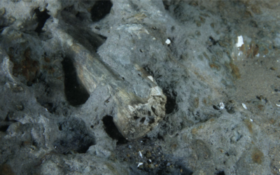 Patrimonio arqueológico submarino: el aporte de la espectroscopía Raman en los hallazgos de la bahía de Quintero