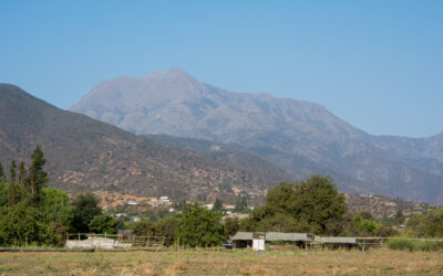 Modelo agro informático de eficiencia hídrica comienza etapa experimental en Olmué e Iquique