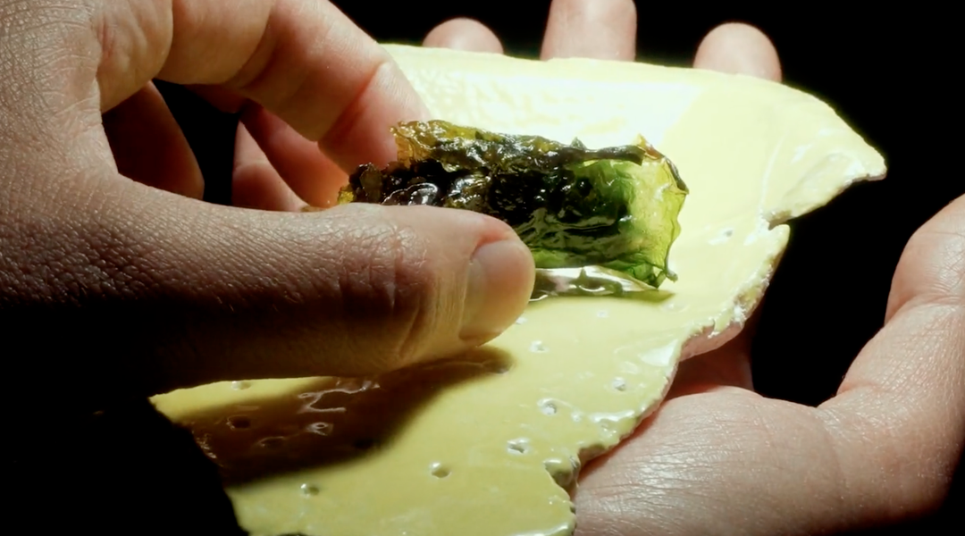 Investigación artística realizada en Quintay estrena documental sobre costumbres culinarias, algas y crisis climática