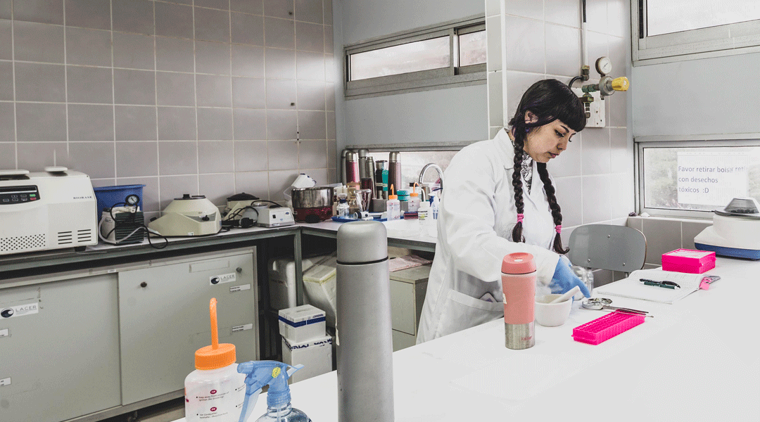 Doctorado Interdisciplinario en Ciencias Ambientales invita a las IV Jornadas de Estudiantes