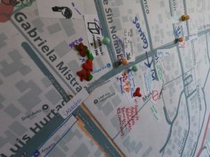 Elizabeth Zenteno: “No es posible seguir pensando la reconstrucción sólo en términos de vivienda” 