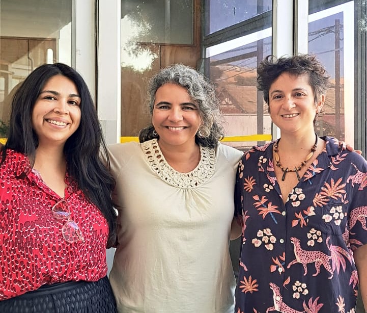 HUB Ambiental UPLA lidera tres proyectos Fondecyt Regular 2026