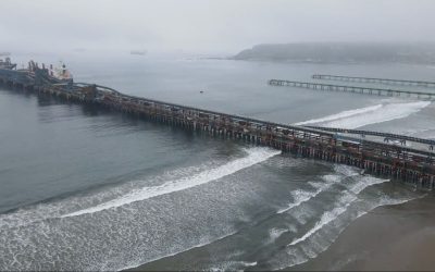 HUB Ambiental UPLA presenta ante el Concejo Municipal de Puchuncaví investigación sobre metales pesados en recursos marinos