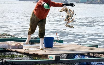 Académica UPLA publica investigación sobre mujeres en la pesca artesanal en revista internacional Marine Policy