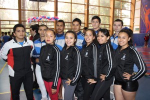 Selección de Gimnasia artística