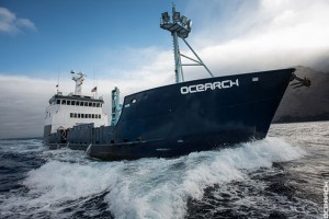 Visita-barco-Ocearch_DMA3