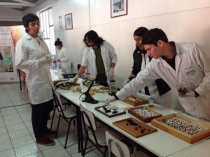 Liceo A2 Cabildo 2