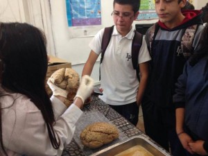 Liceo Pulmahue La Ligua 2