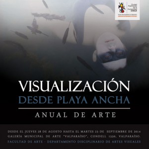 expo_visualización desde playa ancha