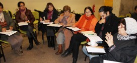 Taller Dra. Gloria Inostroza_Plan de Habilitación Intermedia