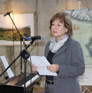 Carmen Ibáñez