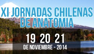 jornadas-chilenas-anatomia
