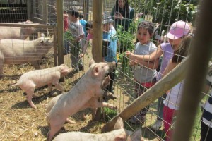 Escuela Verano funcionarios 10