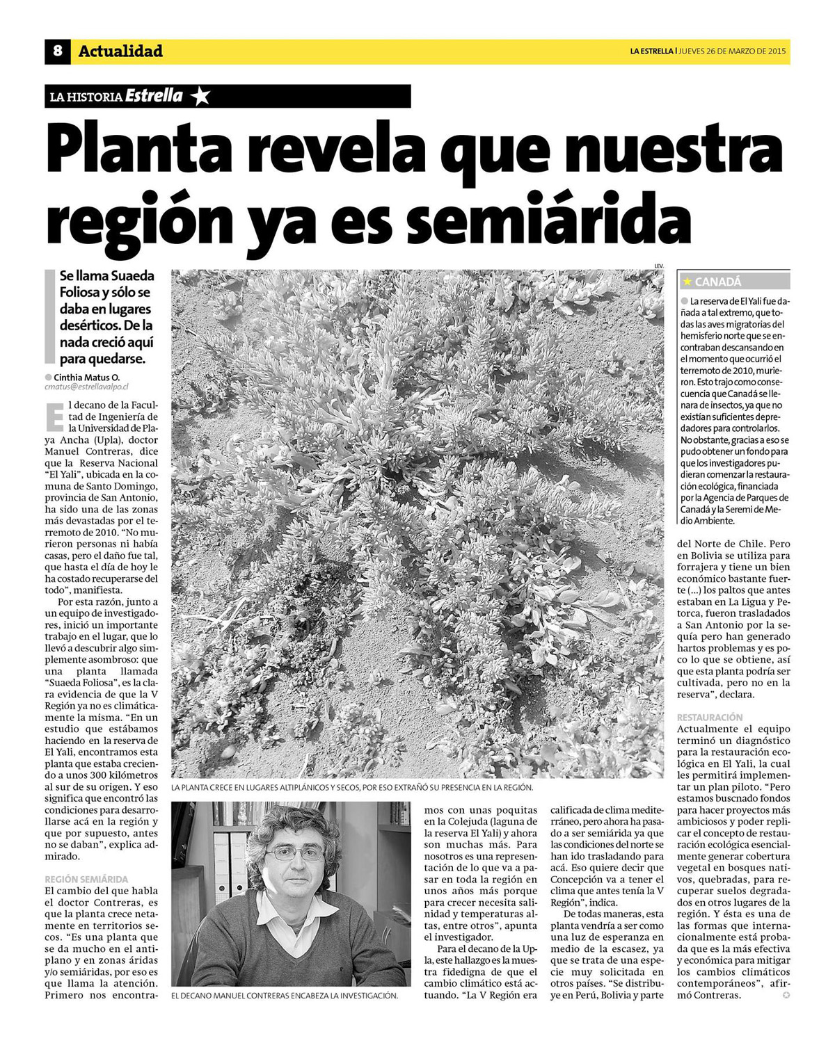 03262015_planta_yali_decanoupla