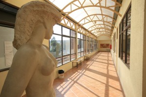 facultad_arteupla