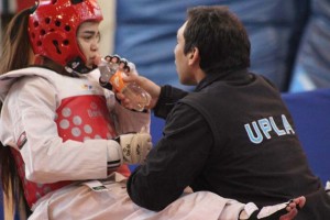 taewondo2015_upla_1