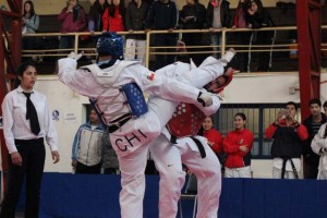 taewondo2015_upla_2