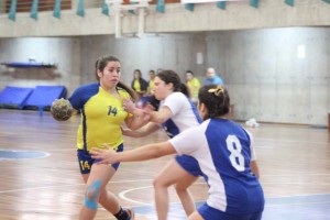 seleccion_balonmano_damas_subcampeon2015_1