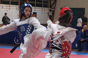 taekwondo1_UPLA