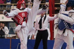 taekwondo_upla_ldes_1