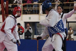 taekwondo_upla_ldes_2