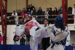 taekwondo_upla_ldes_3